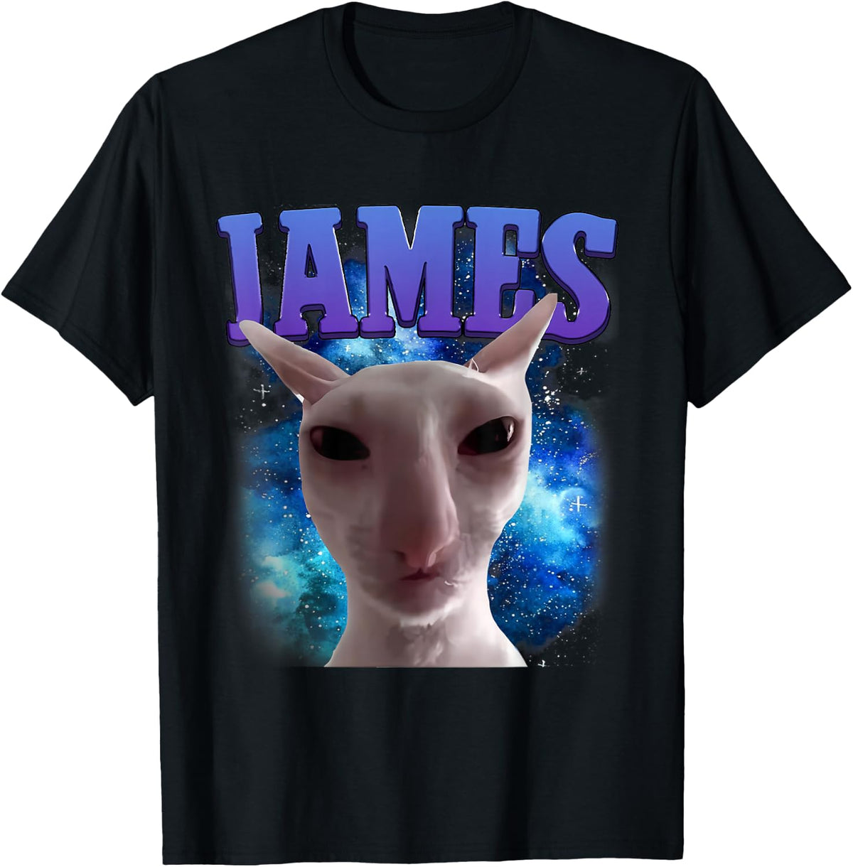James The Cat Meme Funny Silly Cats Brainrot Meme Cat Lover T-Shirt